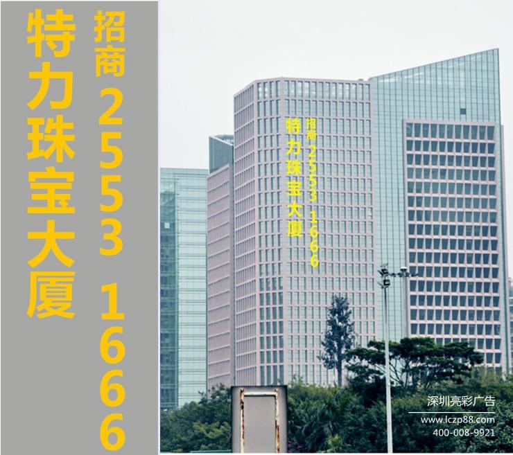 特力珠寶大廈掛網(wǎng)字設計效果圖